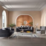 Platin Koltuk Takımı